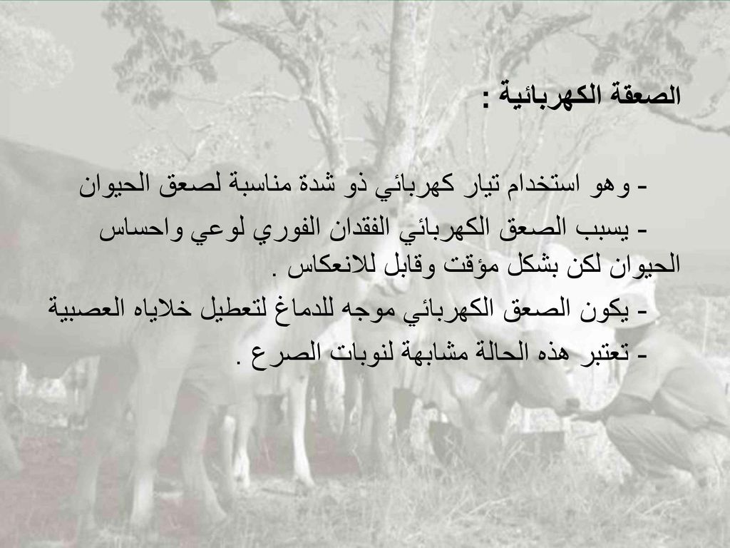 الصعقة الكهربائية : - وهو استخدام تيار كهربائي ذو شدة مناسبة لصعق الحيوان - يسبب الصعق الكهربائي الفقدان الفوري لوعي واحساس الحيوان لكن بشكل مؤقت وقابل للانعكاس .