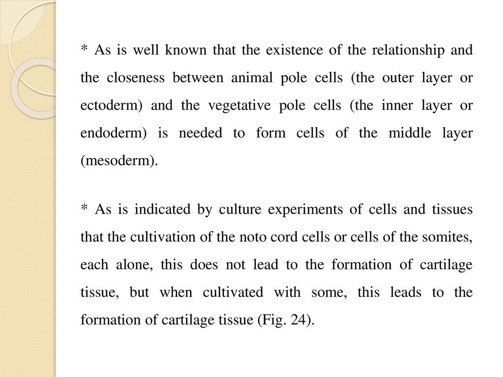 * As is well known that the existence of the relationship and the closeness between animal pole cells (the outer layer or ectoderm) and the vegetative pole cells (the inner layer or endoderm) is needed to form cells of the middle layer (mesoderm).