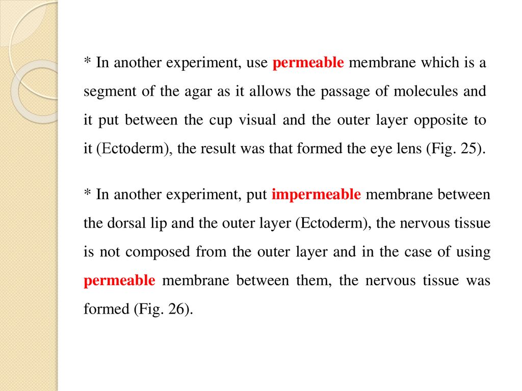 * In another experiment, use permeable membrane which is a segment of the agar as it allows the passage of molecules and it put between the cup visual and the outer layer opposite to it ​​(Ectoderm), the result was that formed the eye lens (Fig. 25).