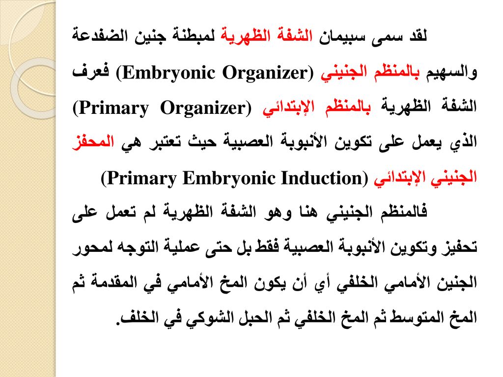 لقد سمى سبيمان الشفة الظهرية لمبطنة جنين الضفدعة والسهيم بالمنظم الجنيني (Embryonic Organizer) فعرف الشفة الظهرية بالمنظم الإبتدائي (Primary Organizer) الذي يعمل على تكوين الأنبوبة العصبية حيث تعتبر هي المحفز الجنيني الإبتدائي (Primary Embryonic Induction)