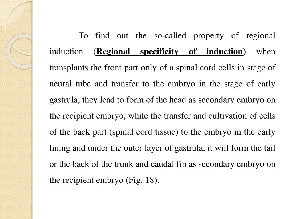 To find out the so-called property of regional induction (Regional specificity of induction) when transplants the front part only of a spinal cord cells in stage of neural tube and transfer to the embryo in the stage of early gastrula, they lead to form of the head as secondary embryo on the recipient embryo, while the transfer and cultivation of cells of the back part (spinal cord tissue) to the embryo in the early lining and under the outer layer of gastrula, it will form the tail or the back of the trunk and caudal fin as secondary embryo on the recipient embryo (Fig.