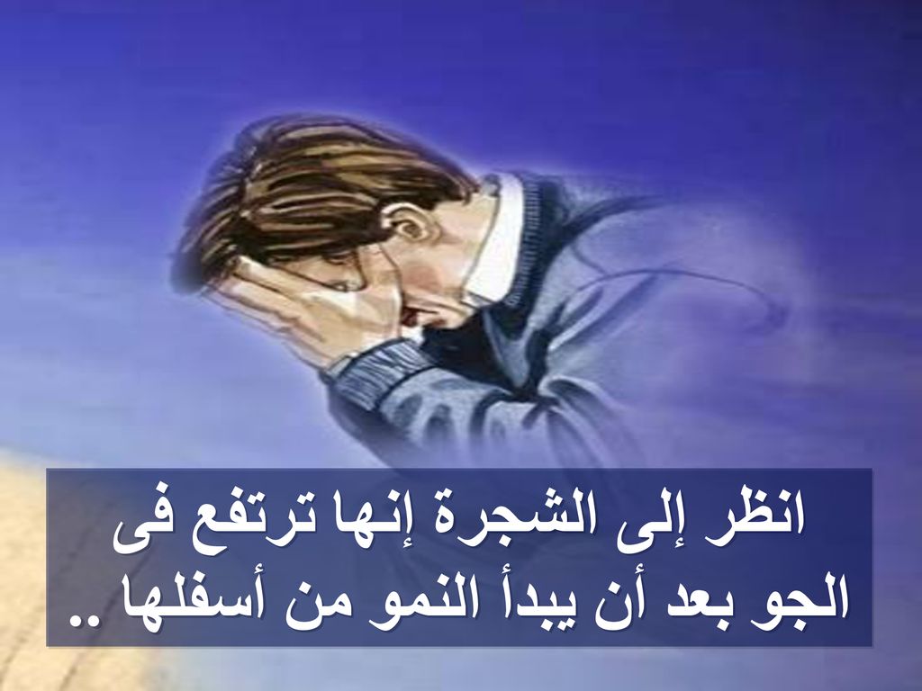 انظر إلى الشجرة إنها ترتفع فى الجو بعد أن يبدأ النمو من أسفلها ..