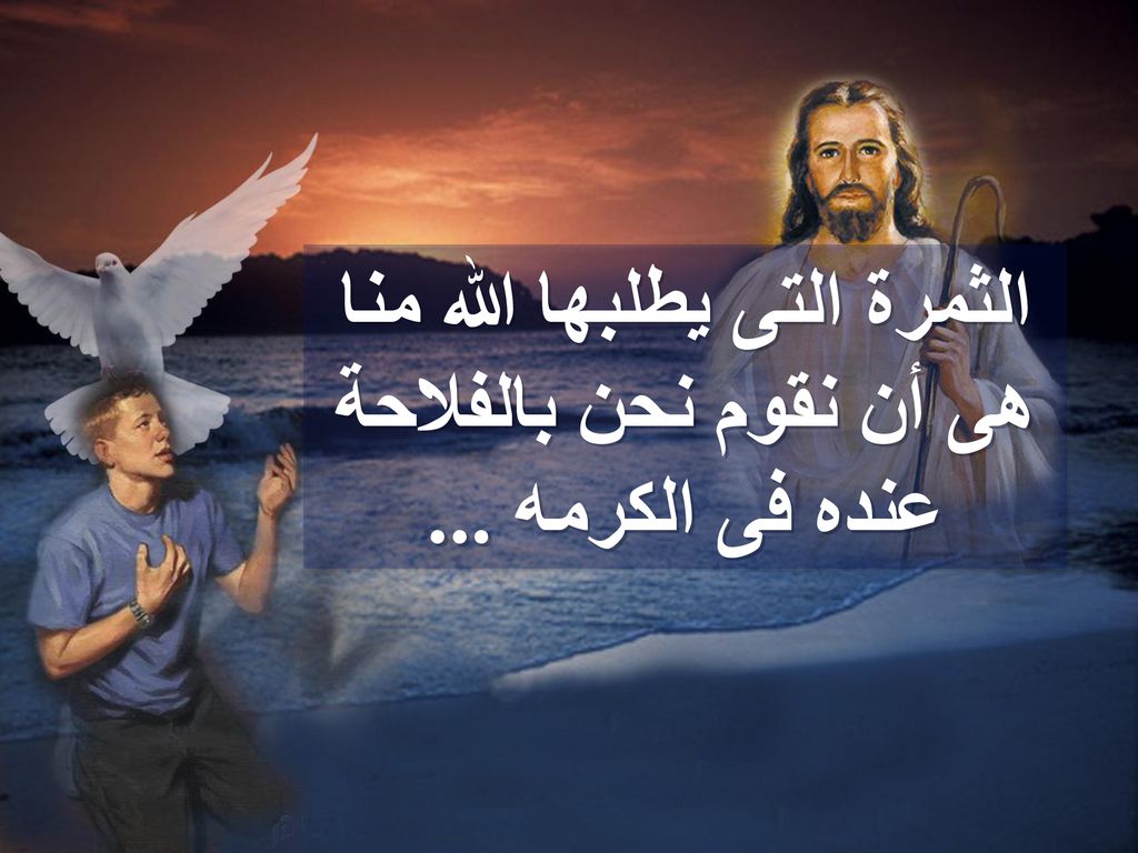 الثمرة التى يطلبها الله منا هى أن نقوم نحن بالفلاحة عنده فى الكرمه ...