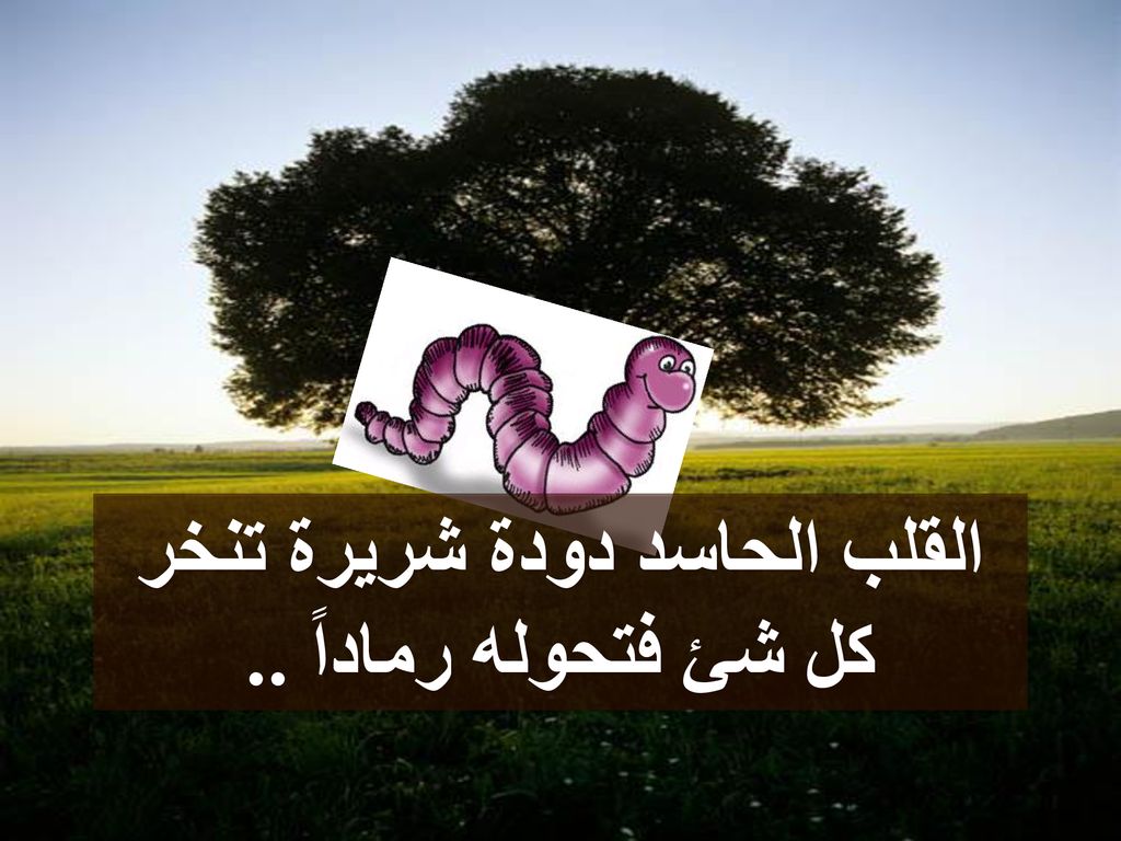 القلب الحاسد دودة شريرة تنخر كل شئ فتحوله رماداً ..