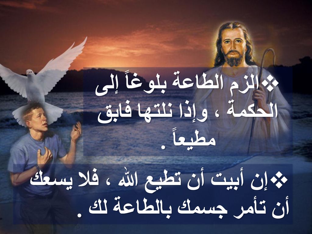 الزم الطاعة بلوغاً إلى الحكمة ، وإذا نلتها فابق مطيعاً .
