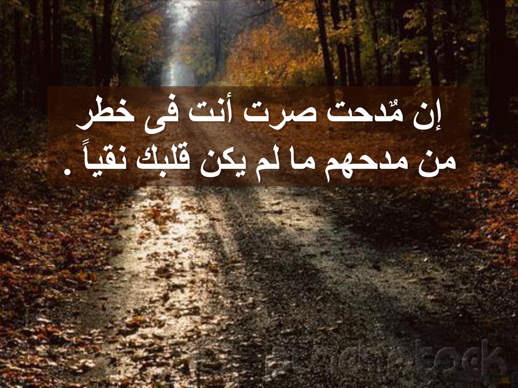 إن مٌدحت صرت أنت فى خطر من مدحهم ما لم يكن قلبك نقياً .