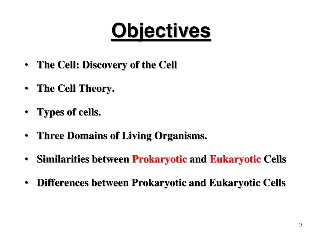 Objectives The Cell: Discovery of the Cell The Cell Theory.