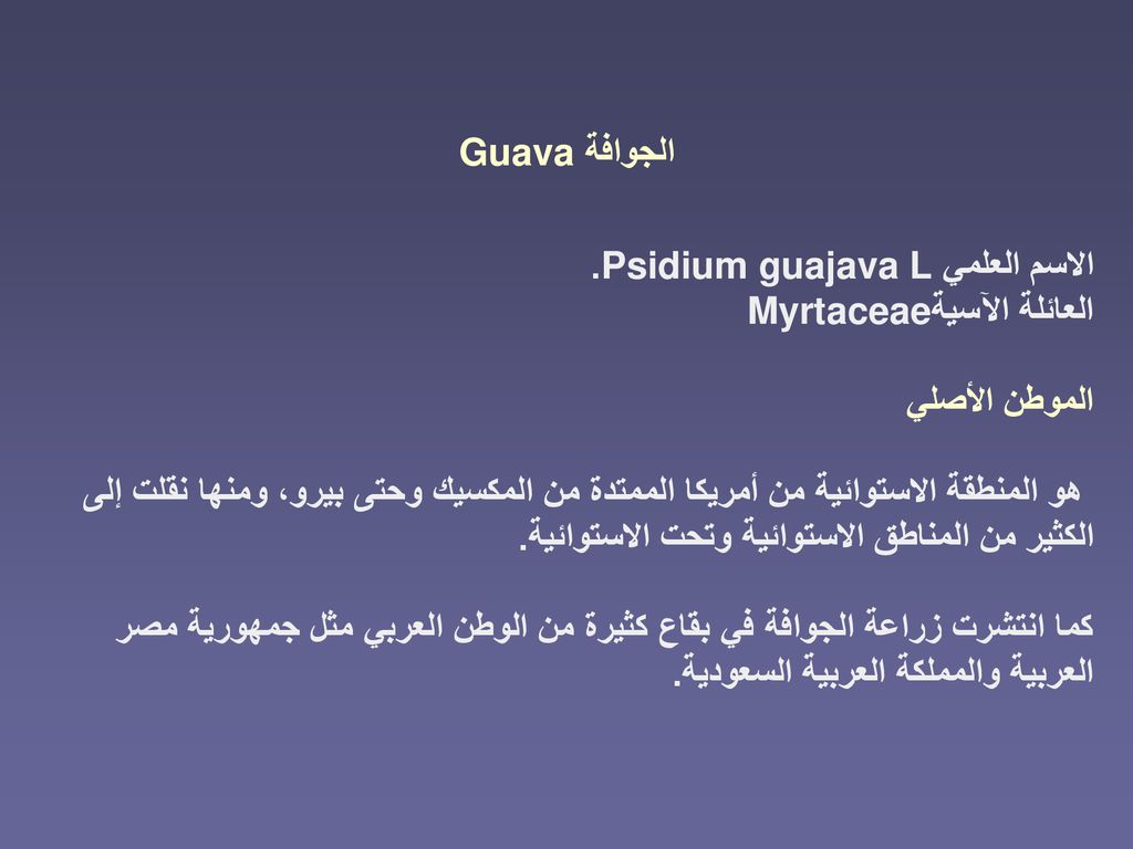 الجوافة Guava الاسم العلمي Psidium guajava L. العائلة الآسية Myrtaceae. الموطن الأصلي.