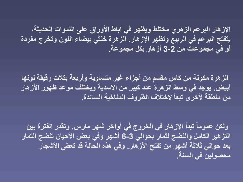 الإزهار البرعم الزهري مختلط ويظهر في آباط الأوراق على النموات الحديثة، يتفتح البرعم في الربيع وتظهر الإزهار. الزهرة خنثي بيضاء اللون وتخرج مفردة أو في مجموعات من 2-3 أزهار بكل مجموعة.