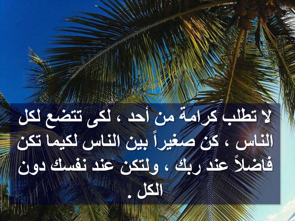 لا تطلب كرامة من أحد ، لكى تتضع لكل الناس ، كن صغيراً بين الناس لكيما تكن فاضلاً عند ربك ، ولتكن عند نفسك دون الكل .