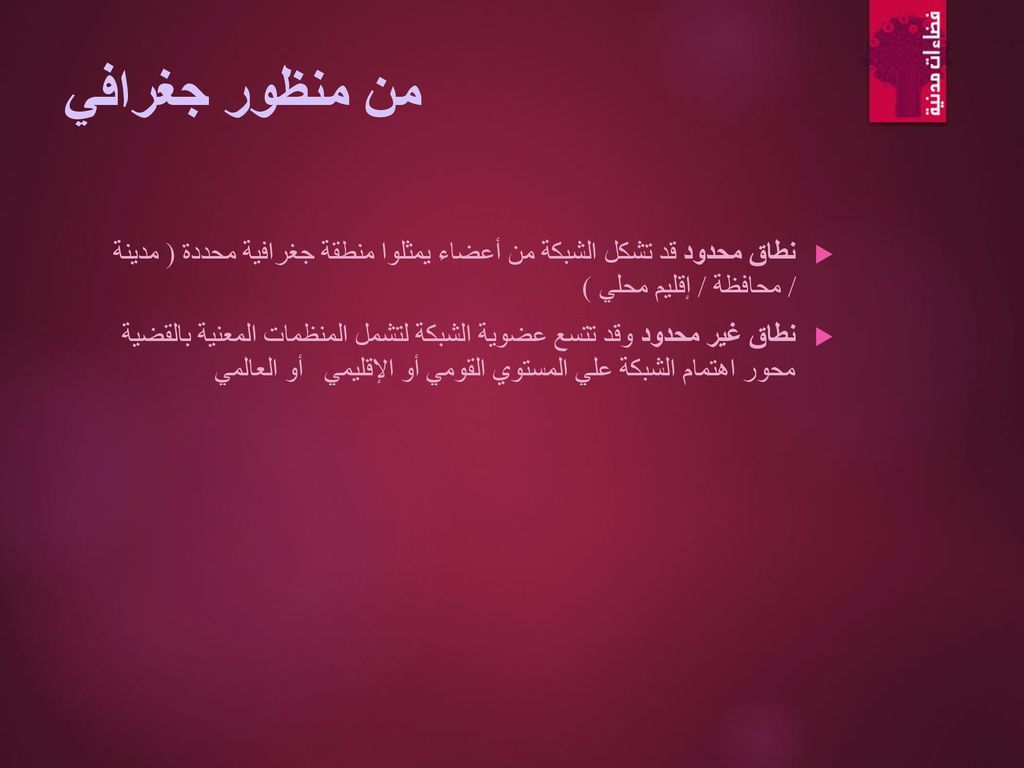 من منظور جغرافي نطاق محدود قد تشكل الشبكة من أعضاء يمثلوا منطقة جغرافية محددة ( مدينة / محافظة / إقليم محلي )