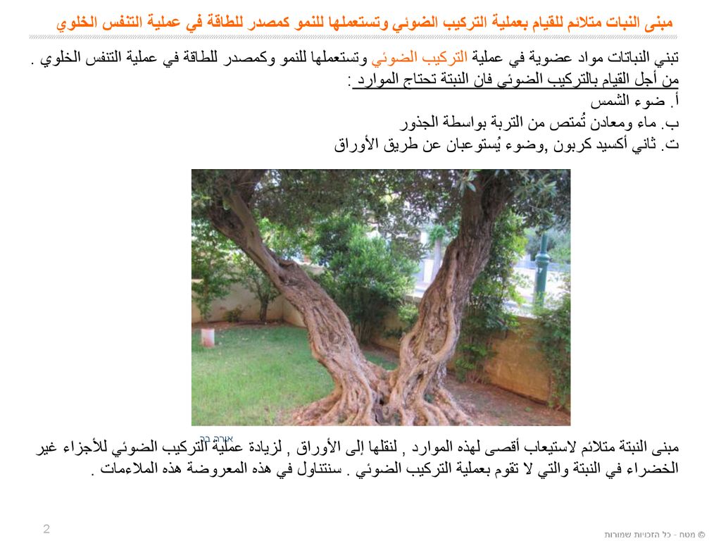 من أجل القيام بالتركيب الضوئي فان النبتة تحتاج الموارد : أ. ضوء الشمس