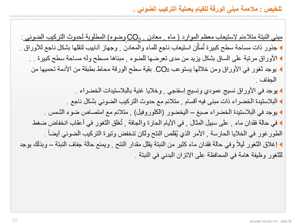 تلخيص : ملاءمة مبنى الورقة للقيام بعملية التركيب الضوئي .