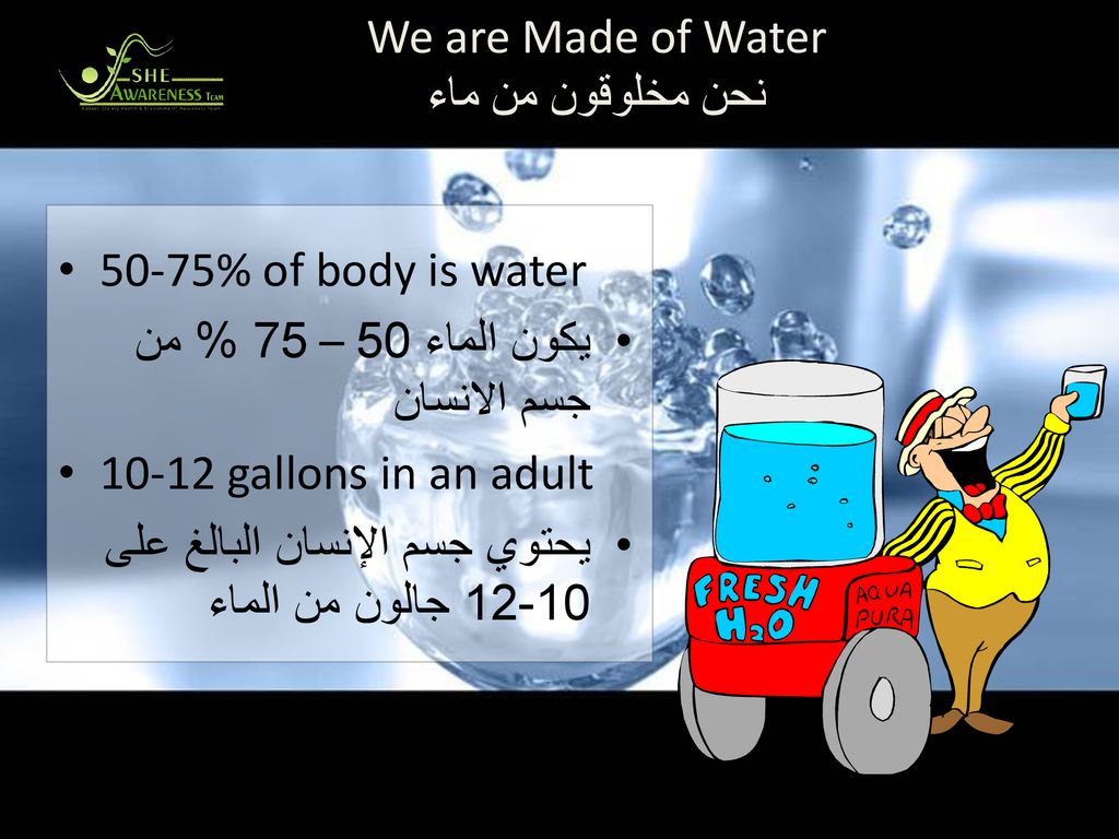 We are Made of Water نحن مخلوقون من ماء % of body is water. يكون الماء 50 – 75 % من جسم الانسان.