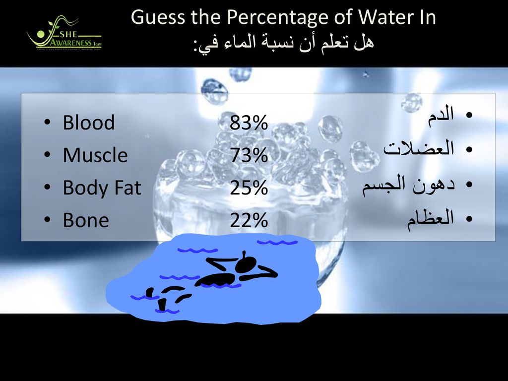 الدم العضلات دهون الجسم العظام Guess the Percentage of Water In