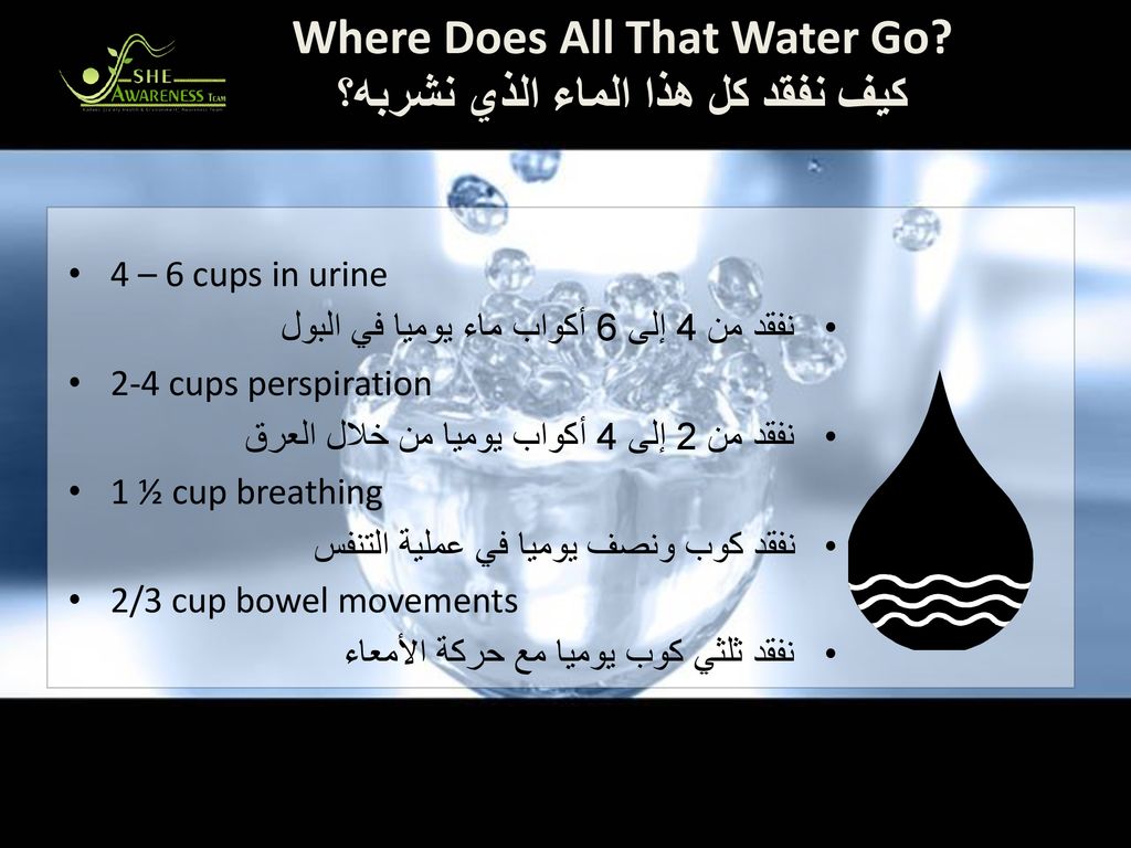 Where Does All That Water Go كيف نفقد كل هذا الماء الذي نشربه؟