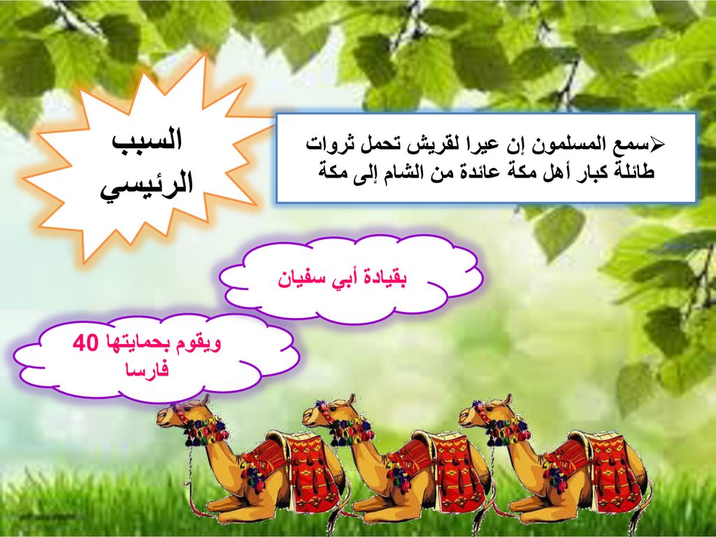 السبب الرئيسي سمع المسلمون إن عيرا لقريش تحمل ثروات طائلة كبار أهل مكة عائدة من الشام إلى مكة. بقيادة أبي سفيان.