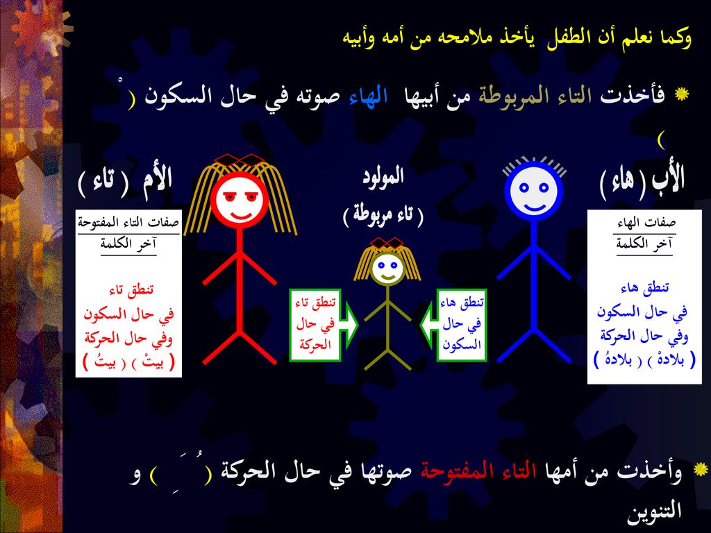 التاء المربوطة تنطق هاء عند الوقف بعكس التاء المفتوحة