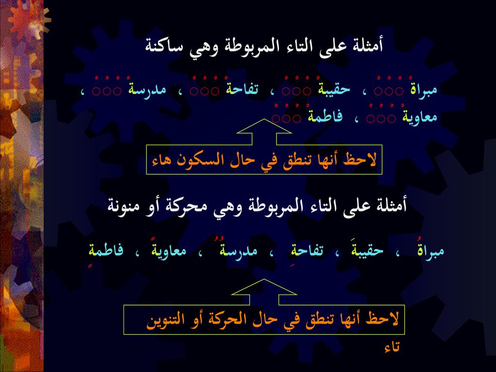 التاء المربوطة تنطق هاء عند الوقف بعكس التاء المفتوحة