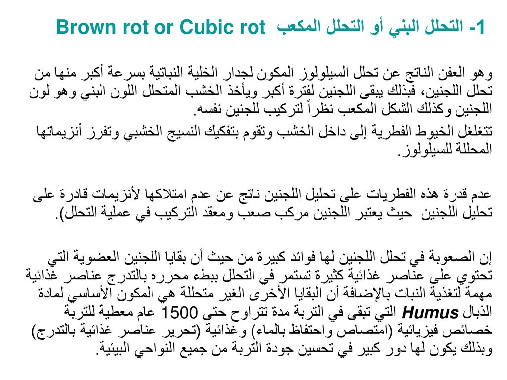 1- التحلل البني أو التحلل المكعب Brown rot or Cubic rot