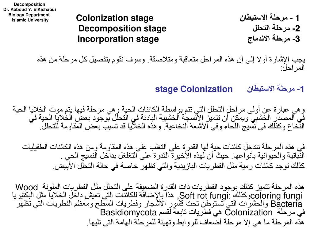 1 - مرحلة الاستيطان Colonization stage