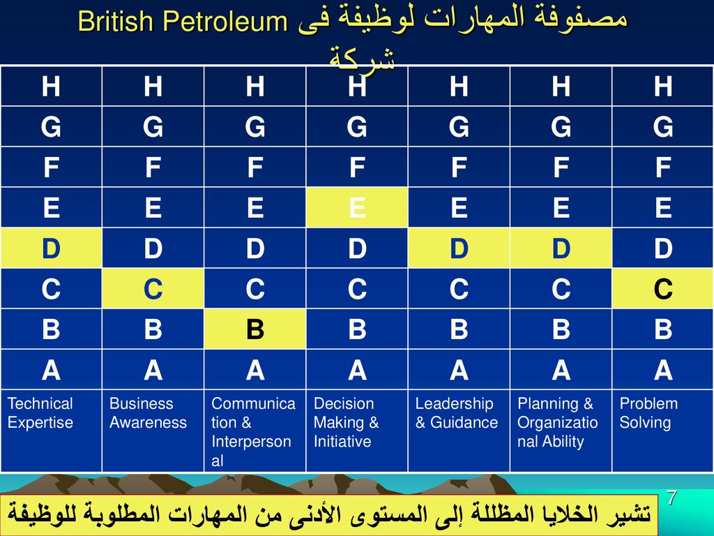 British Petroleum مصفوفة المهارات لوظيفة فى شركة