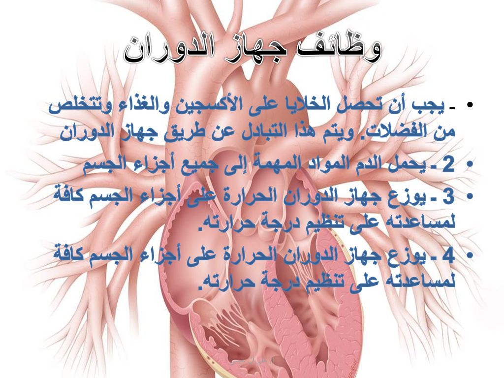 وظائف جهاز الدوران ـ يجب أن تحصل الخلايا على الأكسجين والغذاء وتتخلص من الفضلات. ويتم هذا التبادل عن طريق جهاز الدوران.