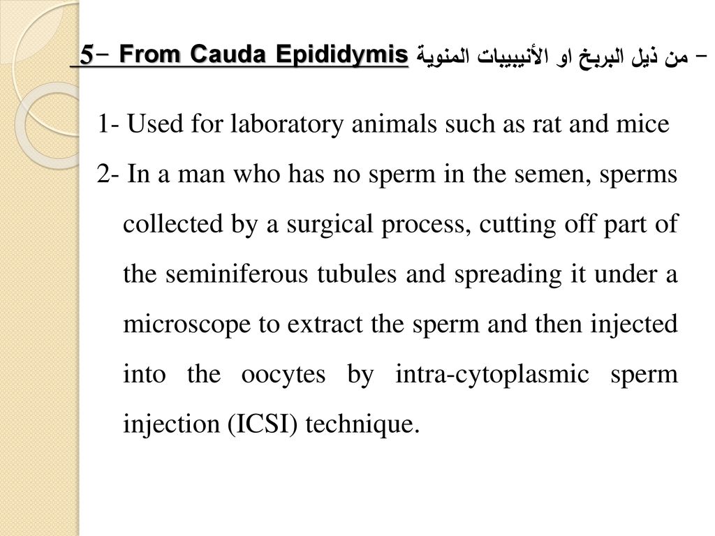 1- Used for laboratory animals such as rat and mice