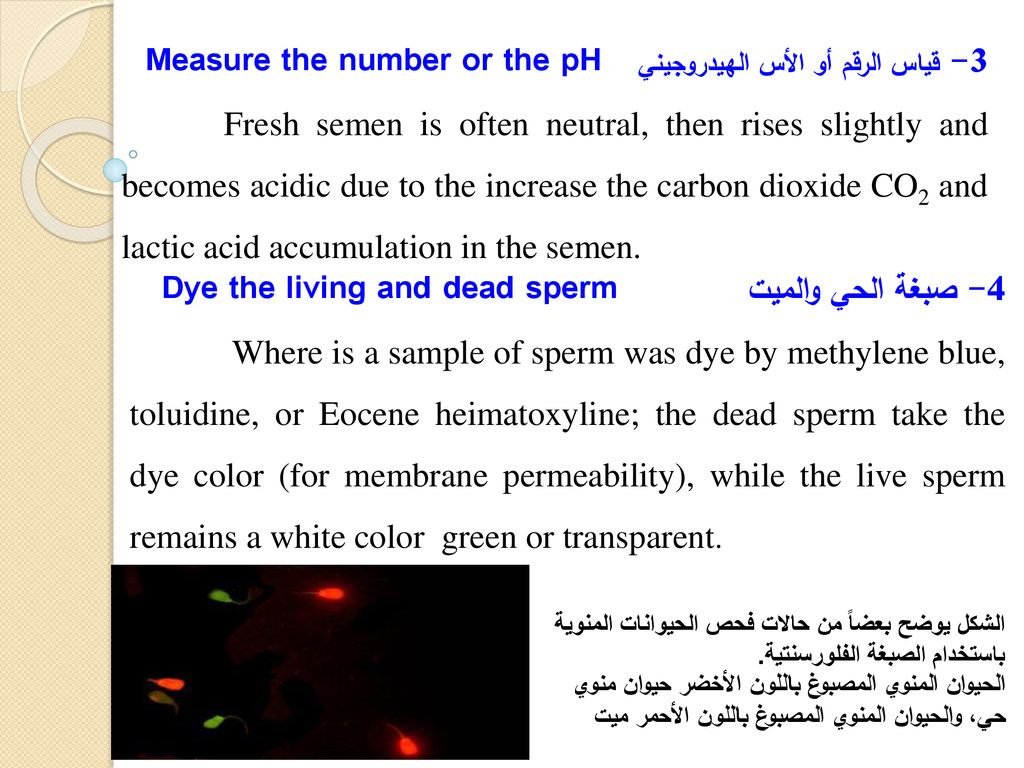 3- قياس الرقم أو الأس الهيدروجيني Measure the number or the pH