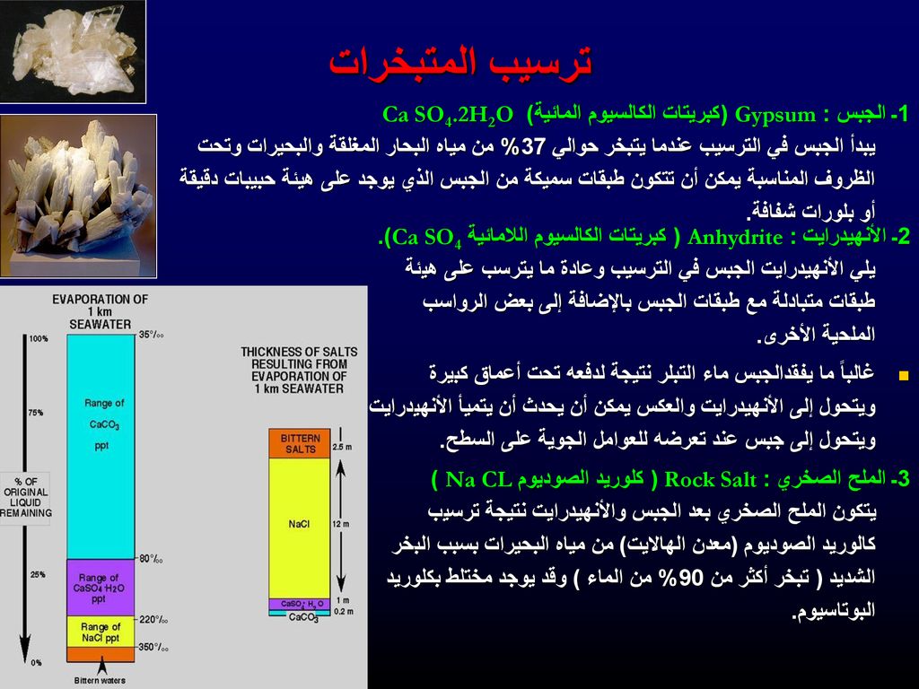 أي مما يلي السبب في تبخر الماء على سطح الأرض