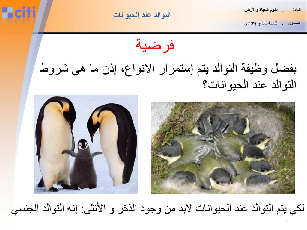 المادة : علوم الحياة والأرض. المستوى : الثانية ثانوي إعدادي. التوالد عند الحيوانات.