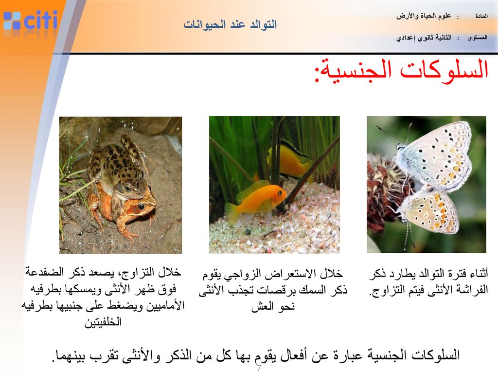 المادة : علوم الحياة والأرض. المستوى : الثانية ثانوي إعدادي. التوالد عند الحيوانات.