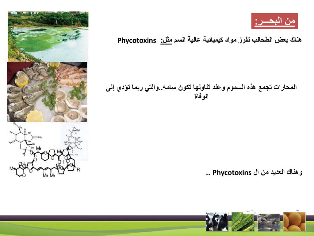 من البحـــر: هناك بعض الطحالب تفرز مواد كيميائية عالية السم مثل: Phycotoxins.