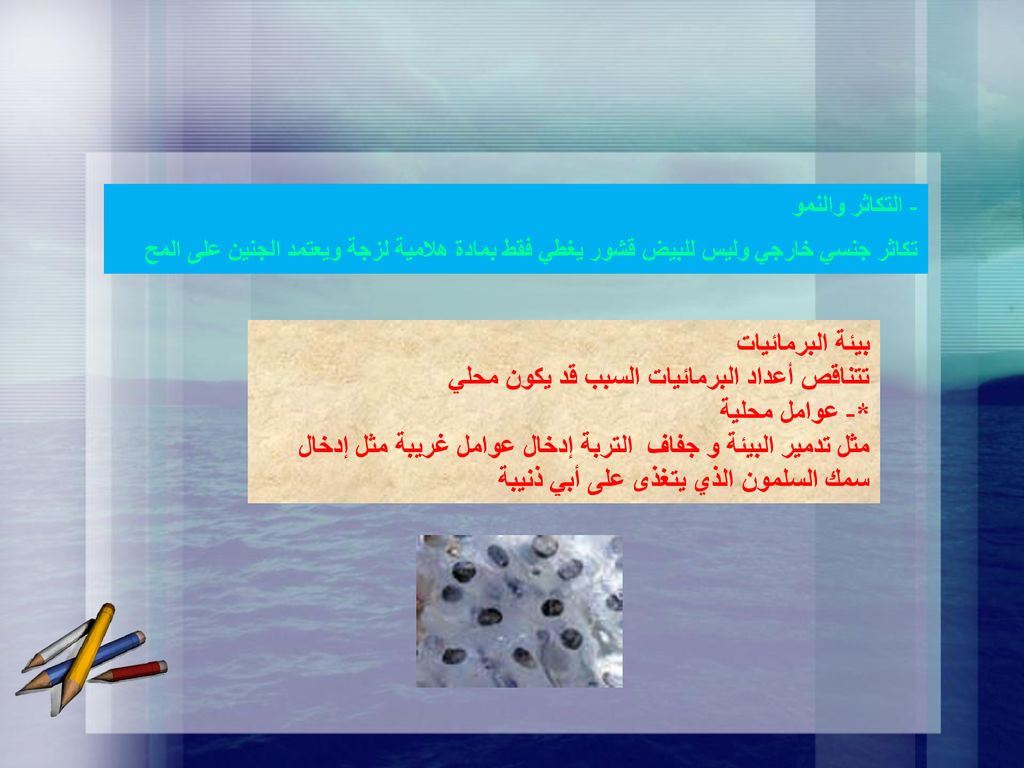 تتناقص أعداد البرمائيات السبب قد يكون محلي *- عوامل محلية