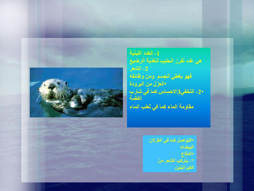 هي غدد تفرز الحليب لتغذية الرضيع 2- الشعر فهو يغطي الجسم ومن وظائفه
