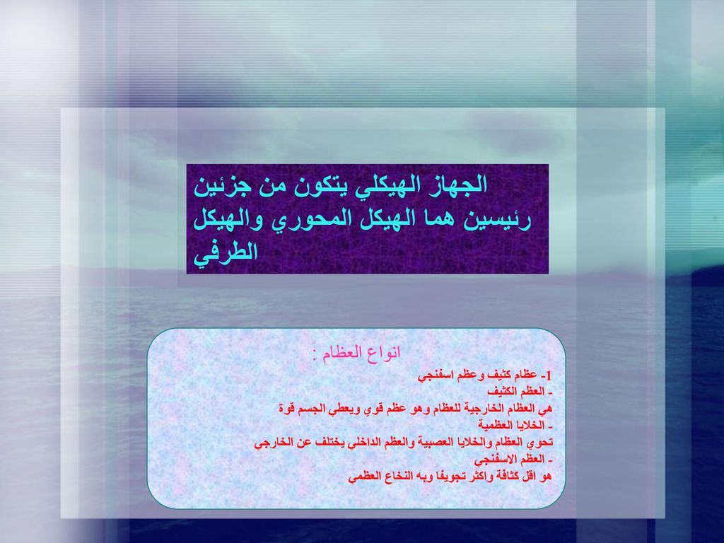 الجهاز الهيكلي يتكون من جزئين رئيسين هما الهيكل المحوري والهيكل الطرفي