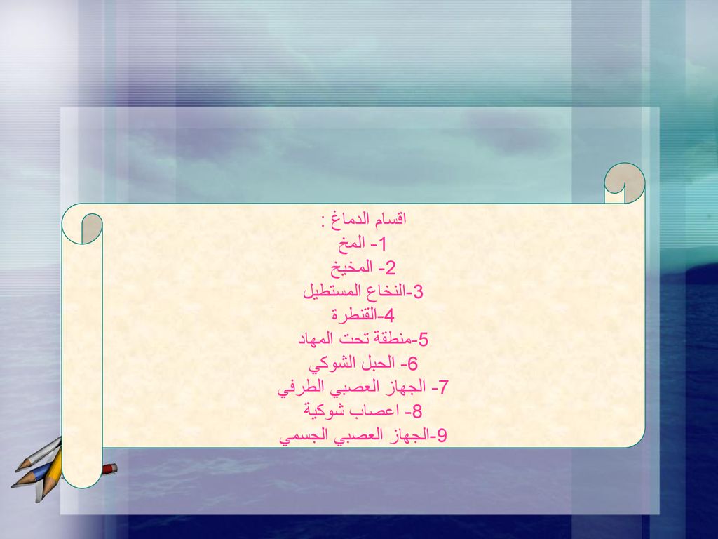 اقسام الدماغ : 1- المخ. 2- المخيخ. 3-النخاع المستطيل. 4-القنطرة. 5-منطقة تحت المهاد. 6- الحبل الشوكي.