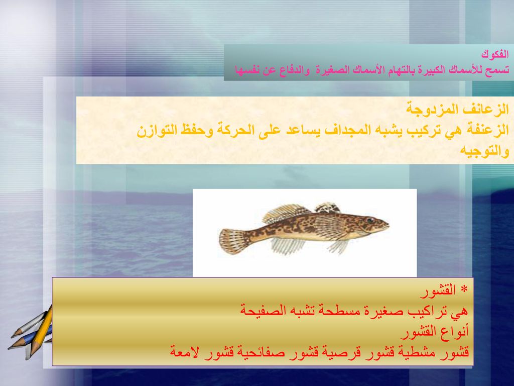 الزعنفة هي تركيب يشبه المجداف يساعد على الحركة وحفظ التوازن والتوجيه