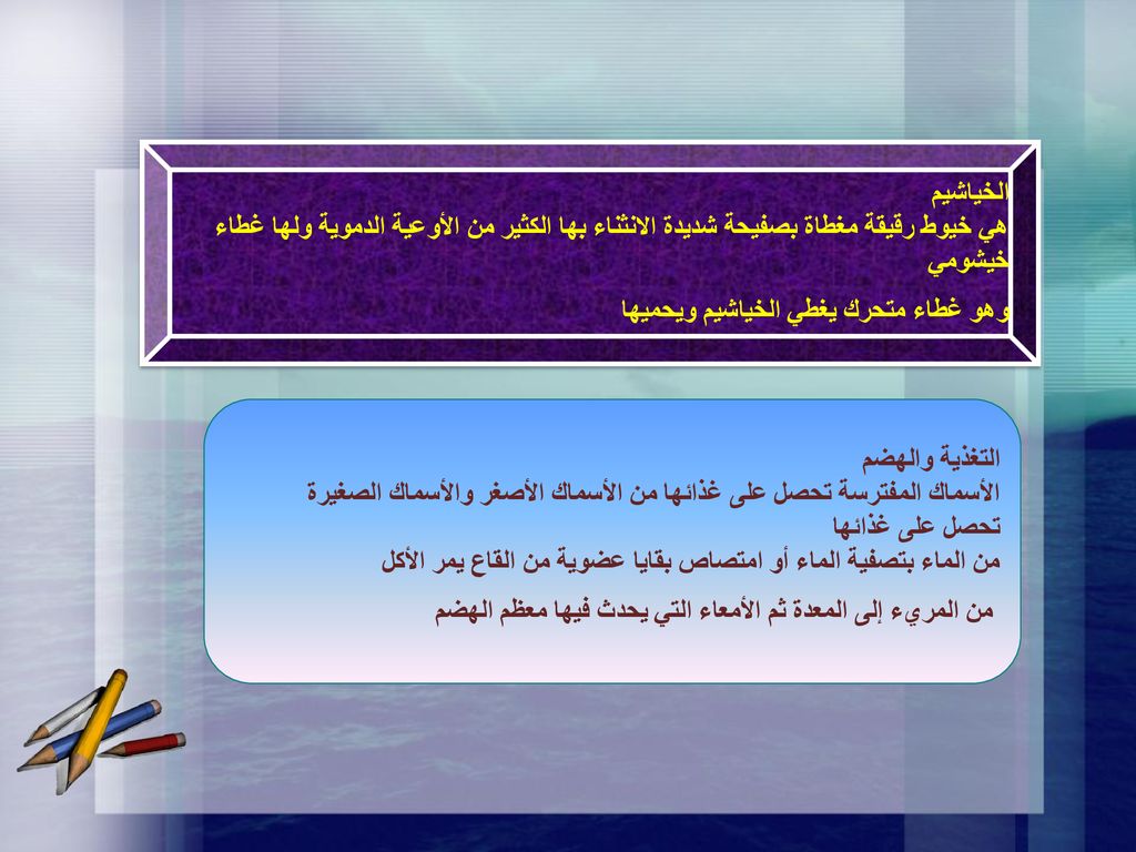 الخياشيم هي خيوط رقيقة مغطاة بصفيحة شديدة الانثناء بها الكثير من الأوعية الدموية ولها غطاء خيشومي. وهو غطاء متحرك يغطي الخياشيم ويحميها.