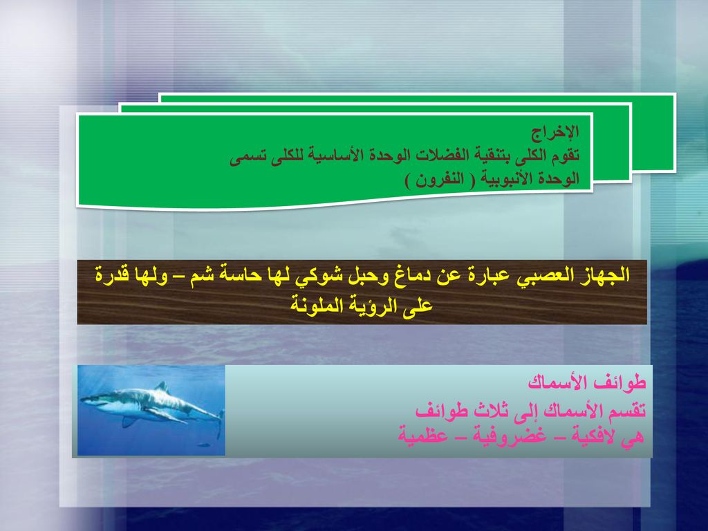 تقسم الأسماك إلى ثلاث طوائف هي لافكية – غضروفية – عظمية