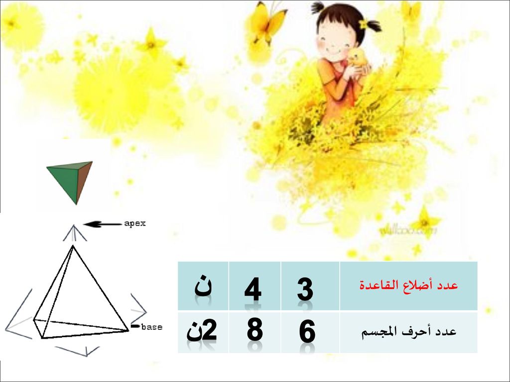 عدد أضلاع القاعدة عدد أحرف المجسم ن 4 3 2ن 8 6